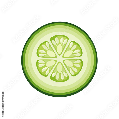 Close-up view of a single round slice of green cucumber showing internal seeds and texture