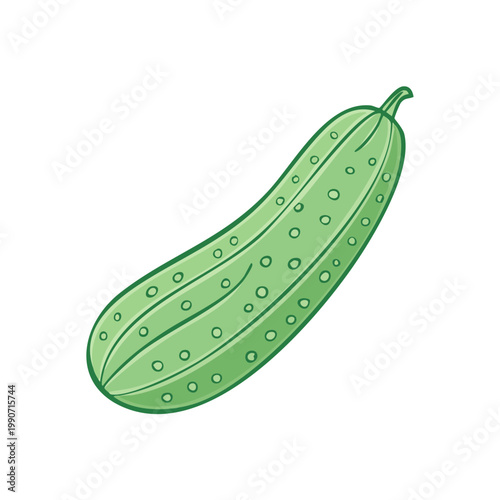Fresh green cucumber with bumpy texture isolated on a white background