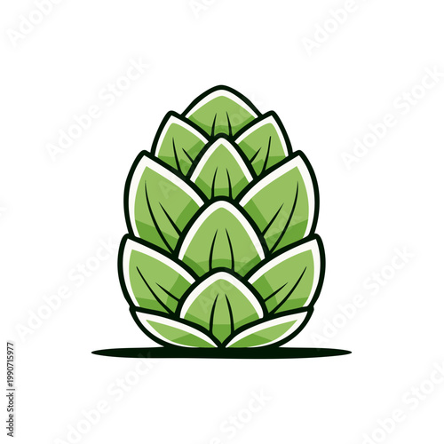 Green hop cone illustration with stylized leaves and outline for organic product branding