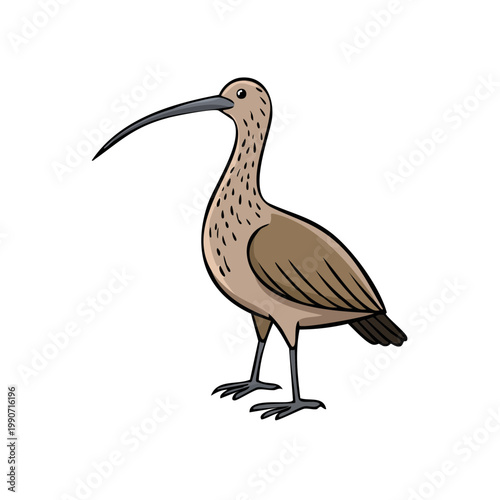 Cartoon illustration of a curlew bird with a long curved beak standing on its legs.