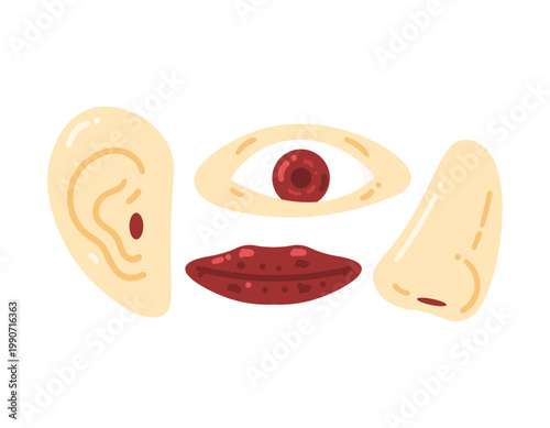 collection of clipart illustrations or stickers on the theme of parts of the head or face. Lips, mouth, nose, ears, and eyes. Human sensory organs. Symbols, elements, flat style. White background.