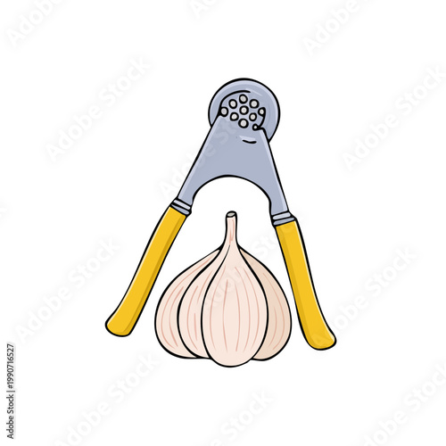 Illustration of a garlic press and a whole bulb of garlic ready for mincing