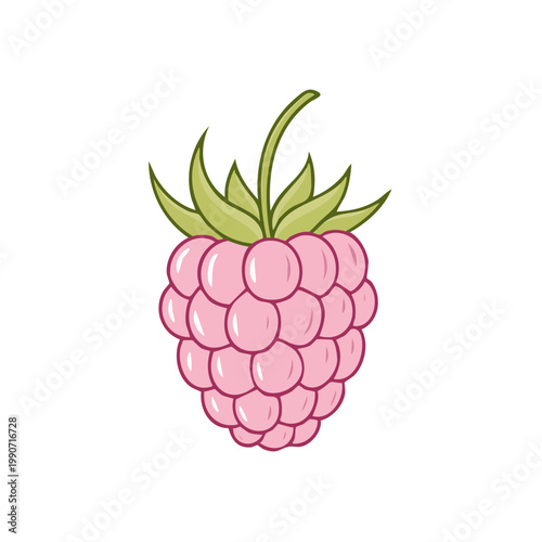 Hand-drawn pink raspberry illustration with green leaves and stem, simple flat design.