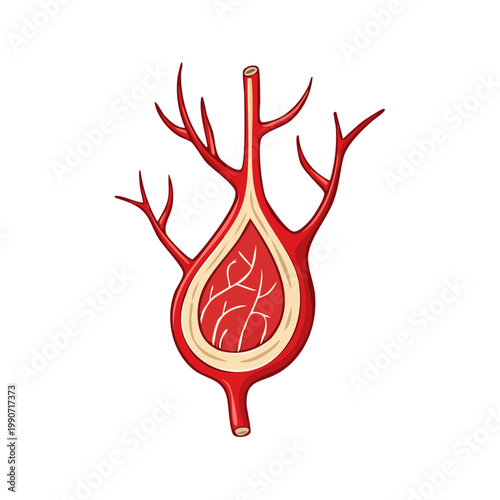 Abstract human vascular system illustration representing circulatory network and blood vessels