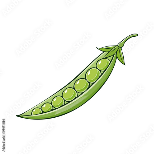 Vibrant green pea pod illustration with plump peas inside on a white background