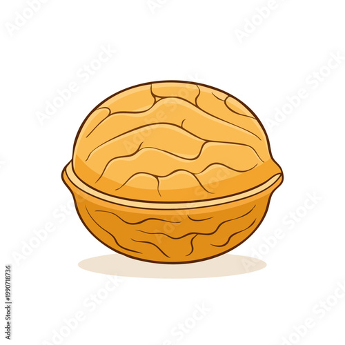 Simple Cartoon Illustration of a Brown Walnut Nut Isolated on White Background