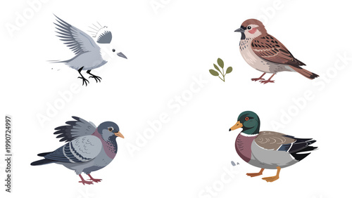 Feathery Friends: A collection of various birds showcasing the diversity of avian species in a charming illustration.