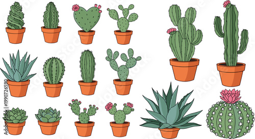 Large collection of various cactus and succulent plants in clay pots isolated on white background vector illustration for home garden decor