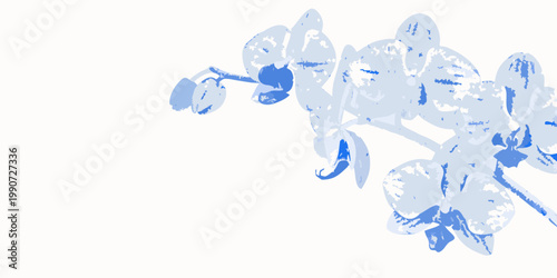 Delicate blue orchid blooms cascade across a softly toned background