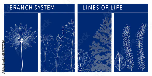 Botanical illustrations depicting diverse plant branch systems and life forms