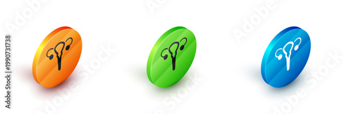 Isometric Female reproductive system icon isolated on white background. Anatomy. Gynecology. Woman health. Circle button. Vector