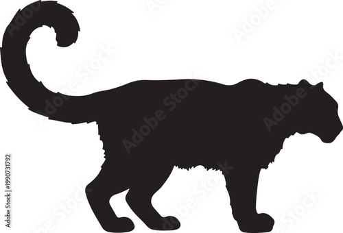 Fotografi Snow leopard in silhouette.