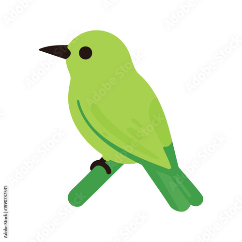 Lovely little green bird perches calmly on a branch with a white isolated background