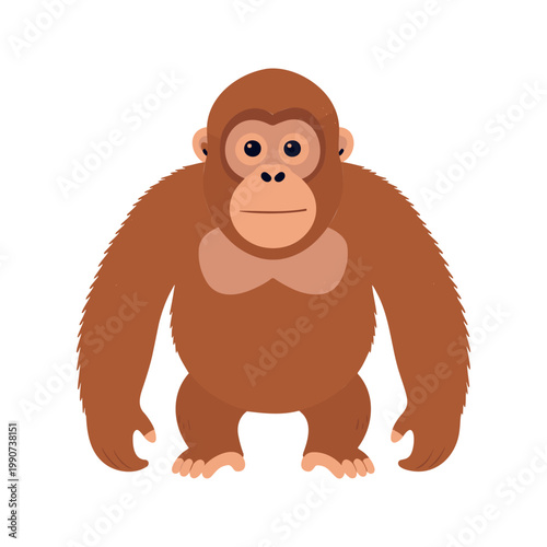 Adorable orangutan stands upright with its arms hanging down looking forward