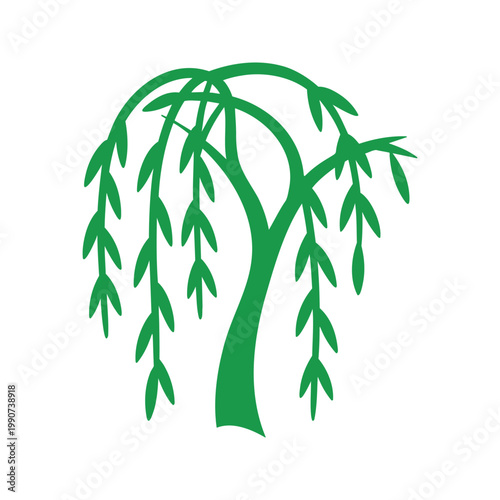 Illustration of a weeping willow tree with cascading branches and vibrant green leaves