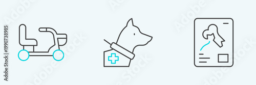 Set line X-ray shots, Electric wheelchair and Guide dog icon. Vector