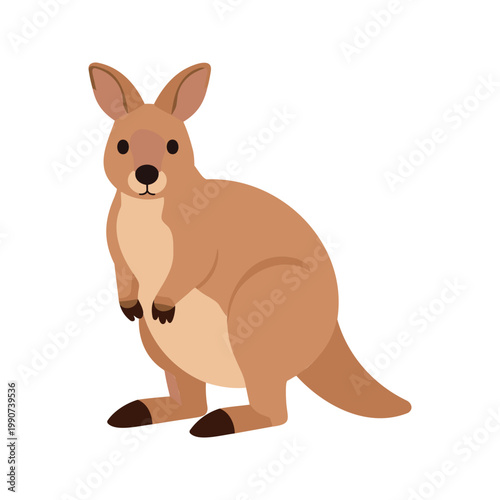 Cartoon kangaroo standing upright with tan fur on a white background