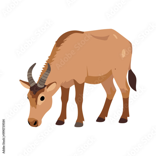 Isolated hartebeest grazes on the grass in a field, head down, vector illustration