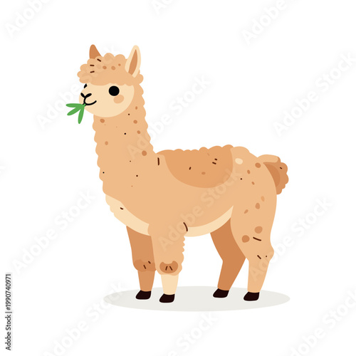A cartoon llama with fluffy fur and spots is eating grass, and it stands on a white background.