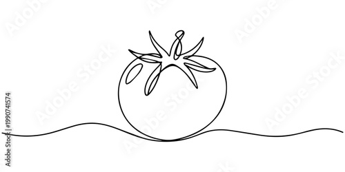 tomato continuous one line drawing, Minimalist one line drawing of a fresh organic tomato vegetable on white background, Continuous one line drawing of a single fresh tomato vegetable on white