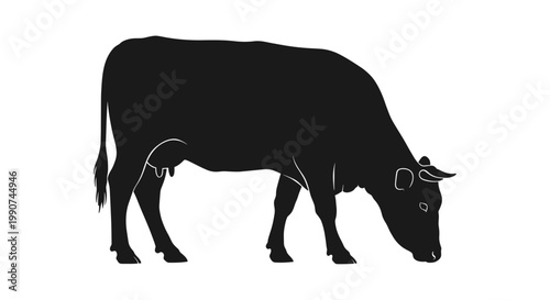 Black cow standing profile view.