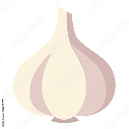  Fresh Garlic Bulb Vegetable Ingredient Vector Illustration