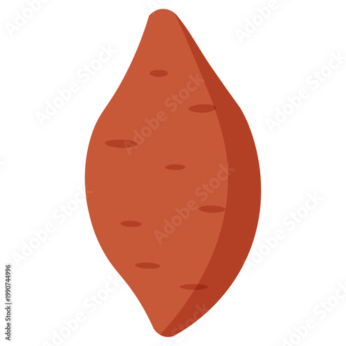 Fresh Red Sweet Potato Root Vegetable Vector Illustration
