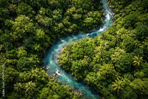 Aerial view of a winding river through dense tropical forest with palm trees and lush green foliage surrounding the clear blue water