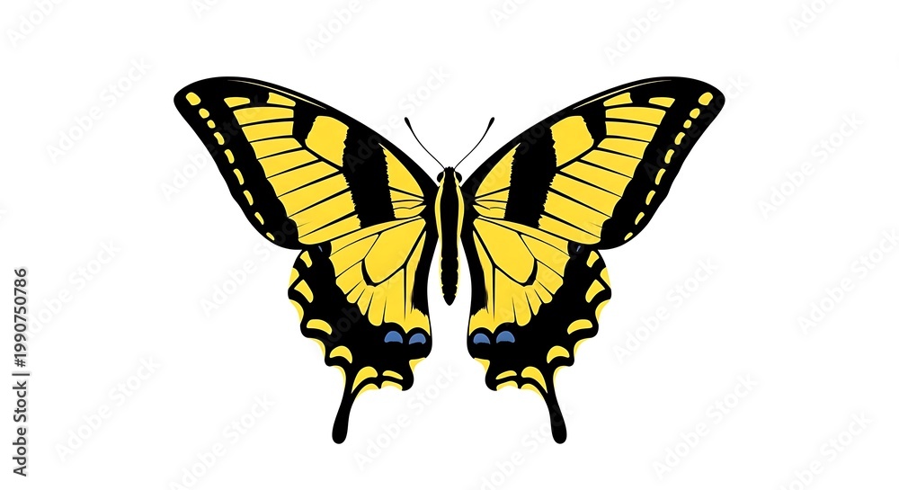Fototapeta premium A yellow and black butterfly with its wings spread