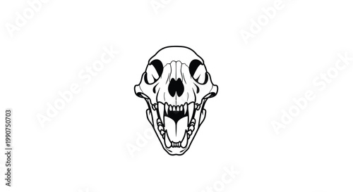 A stark black and white line art illustration depicts a predatory animal skull from a front perspective featuring sharp teeth on a plain white surface.