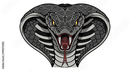 Cobra Snake Head Close Up Portrait.