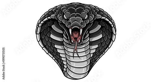 Venomous Black Snake Head Closeup Portrait.