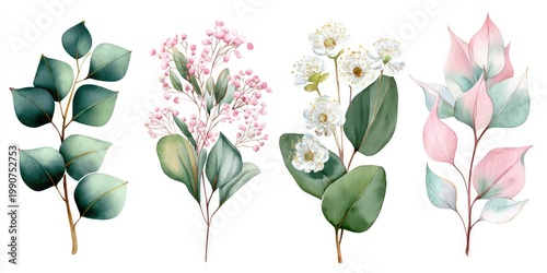 Watercolor illustration of botanical elements, featuring eucalyptus, delicate flowers, and colored leaves