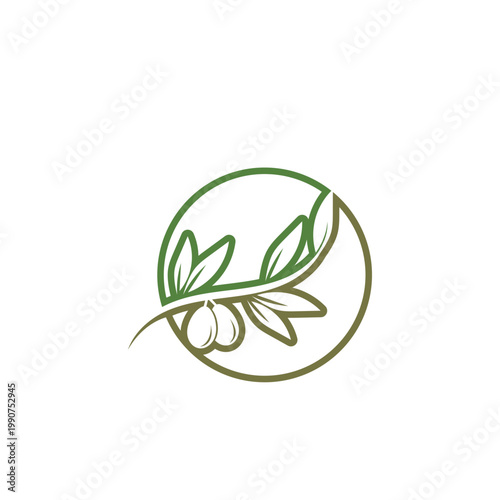 olive icon vector illustration