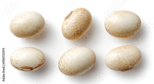 Six light-colored beans with subtle brown speckles, casting soft shadows