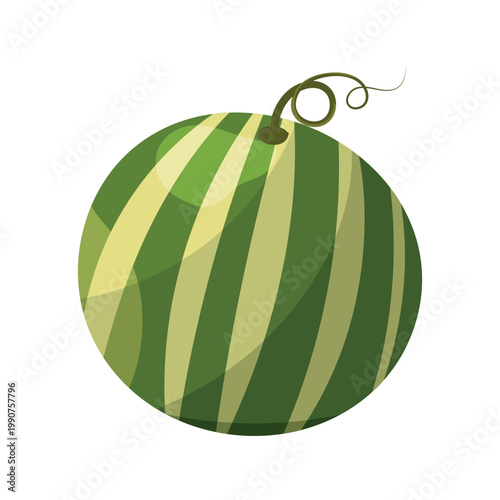 Whole Round Watermelon with Swirl Stem Isolated on White Background