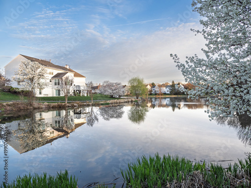 Schilderij op canvas Ashburn Village Virginia residential lakefront home with blooming trees