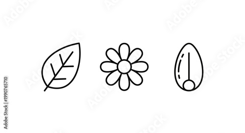 Nature Icons Featuring Leaf Flower And Seed Pod.