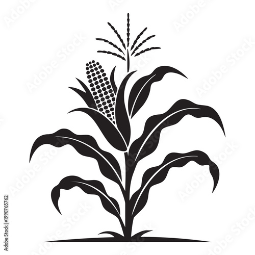 Foto Black silhouette of a corn plant with cob vector illustration