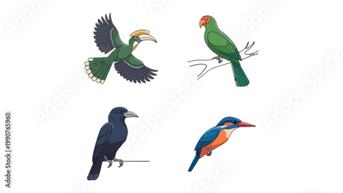 Exotic Birds Illustration Set: A vibrant illustration showcasing four distinct avian species, each with unique plumage and characteristics, bringing the beauty of the bird world to life.
