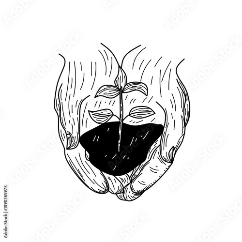 Hands Holding Young Plant Seedling Growth Concept Illustration