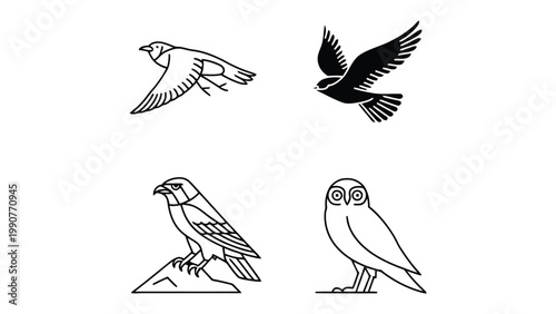 Birds Silhouette Collection: A curated collection of silhouette bird designs, elegantly depicting the grace and diversity of avian life. The set includes a sparrow in mid-flight, a soaring silhouette.