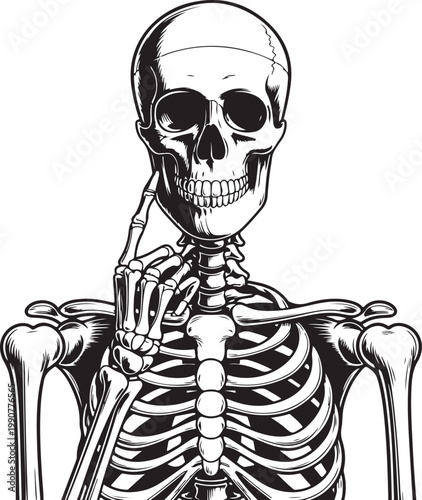 Anatomical illustration of a human skeleton from the front view