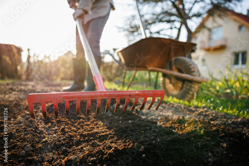 Fotografía Gardener raking and leveling bed after fertilize soil with organic compost