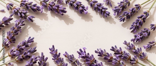Lavender flat lay border on pastel purple background with soft sunlight and calming copy space