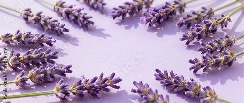Lavender flat lay border on pastel purple background with soft sunlight and calming copy space