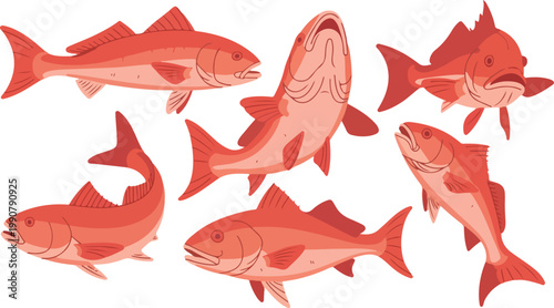 set of red fishes