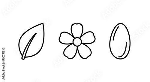 Simple line drawings of leaf flower seed.