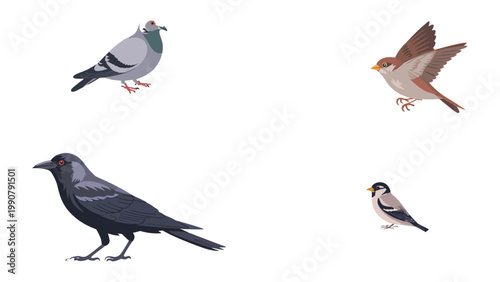 Feathered Friends: A delightful illustration showcases a medley of avian companions, each with distinct plumage, creating a charming display of the grace of nature.