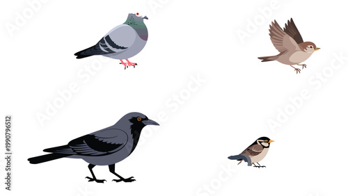 Feathered Companions: A captivating illustration featuring a diverse collection of birds, showcasing the beauty and variety found in the avian world.